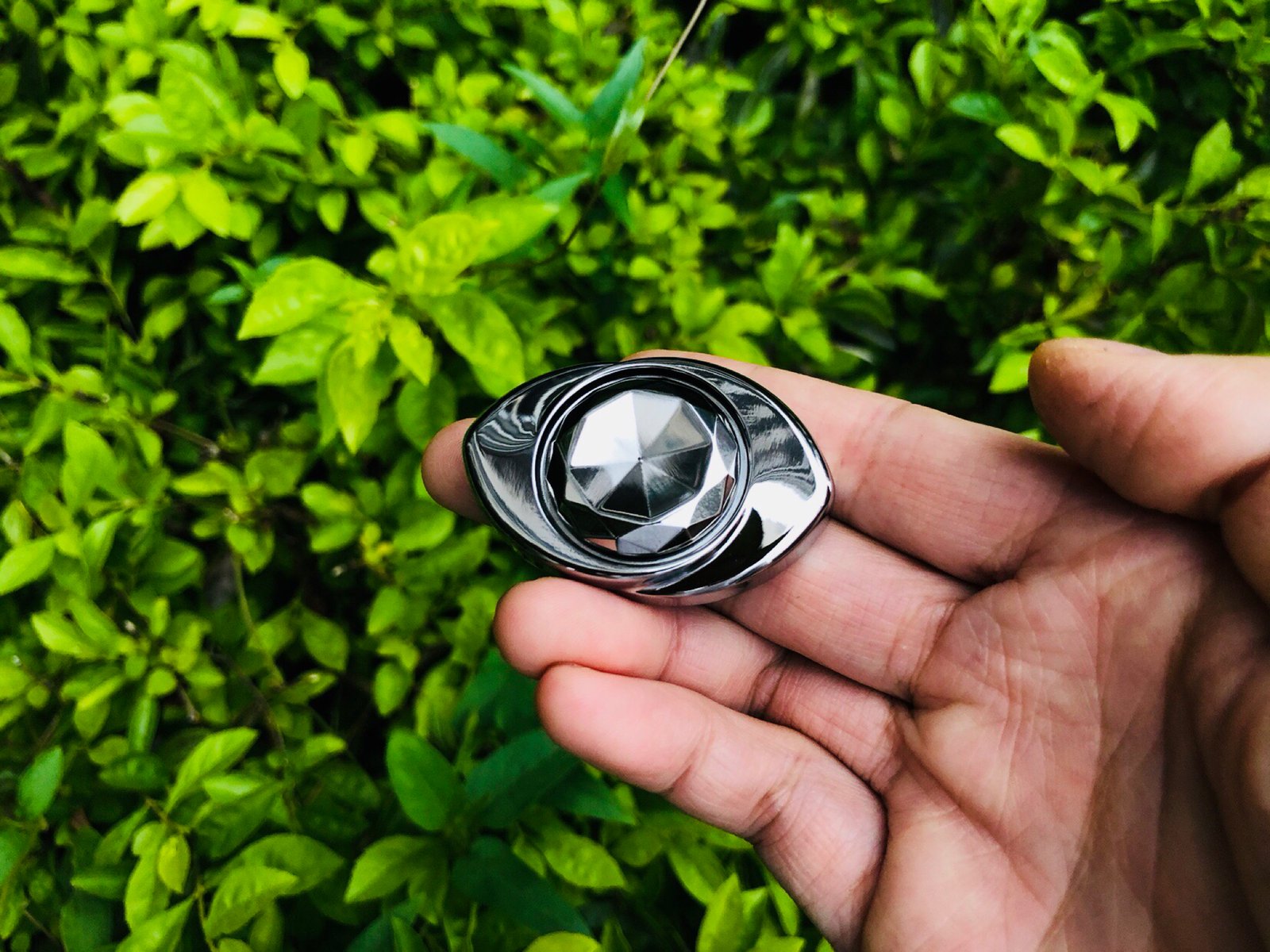 Image of Petal